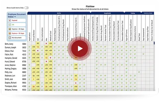 File view video